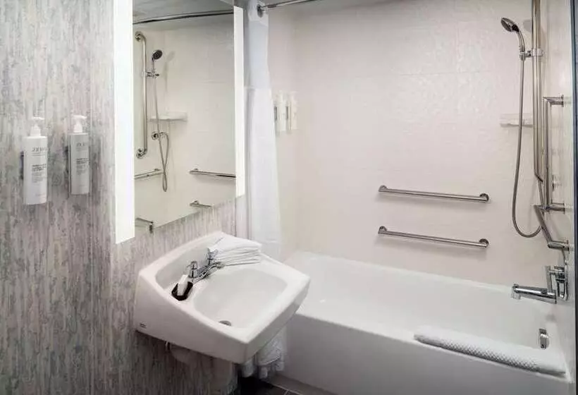 اتاق استاندارد, Embassy Suites By Hilton Crystal City National Airport