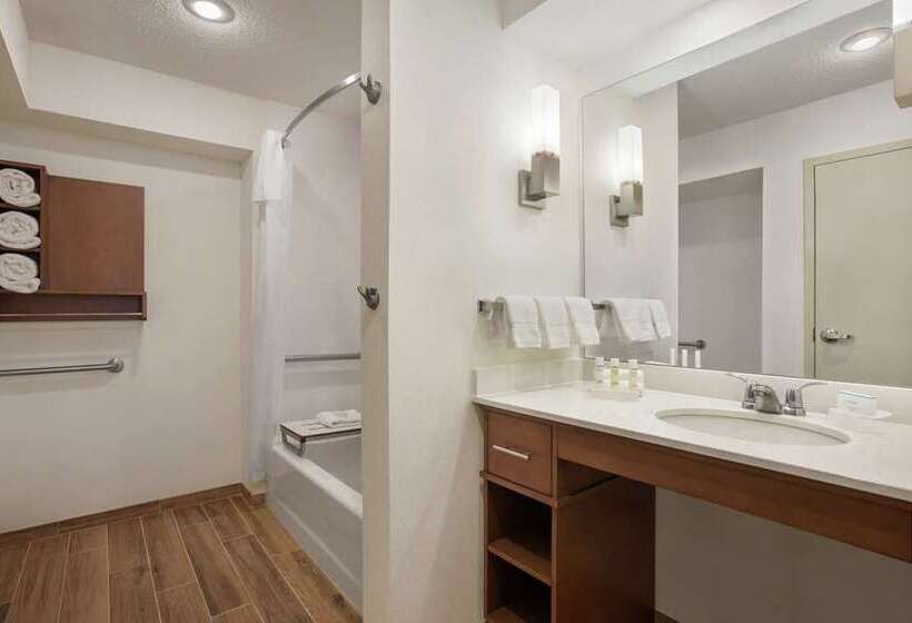 스탠다드 룸, Embassy Suites By Hilton Crystal City National Airport