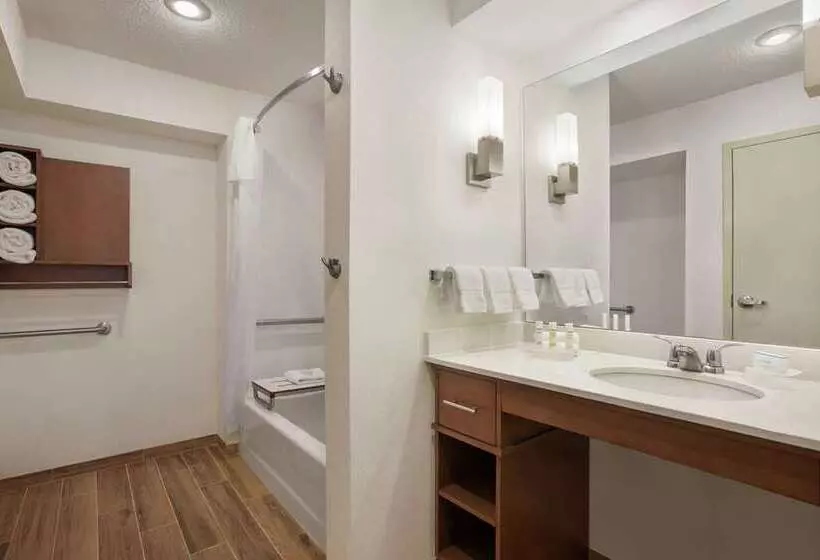 اتاق استاندارد, Embassy Suites By Hilton Crystal City National Airport