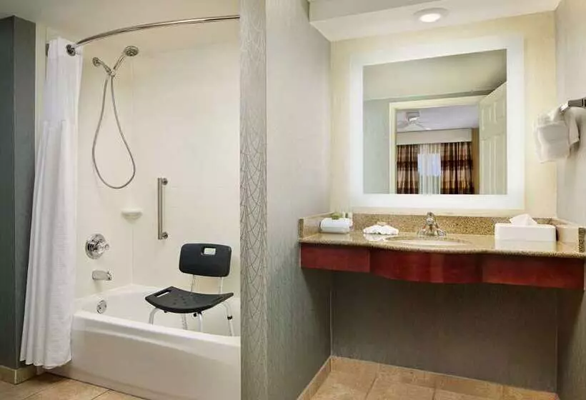 اتاق استاندارد, Embassy Suites By Hilton Crystal City National Airport