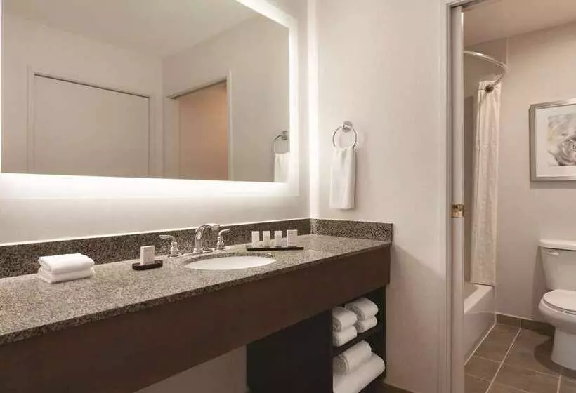 Standard-huone King-vuode, Embassy Suites By Hilton Orlando International Dr Icon Park