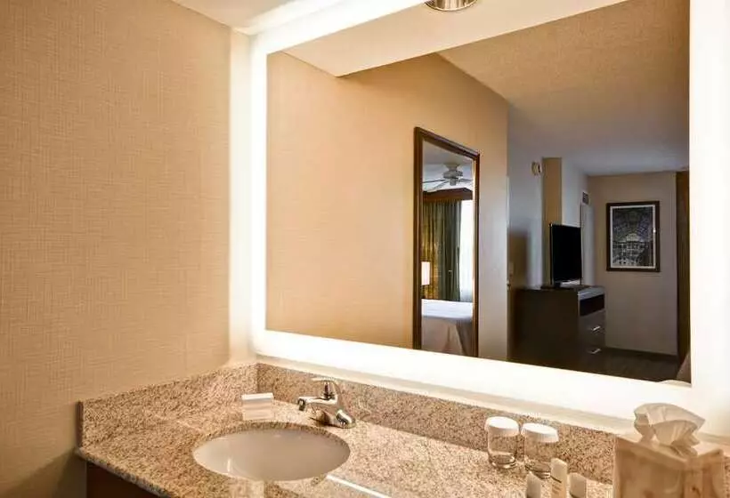 Standard-huone, Embassy Suites By Hilton Orlando International Dr Icon Park