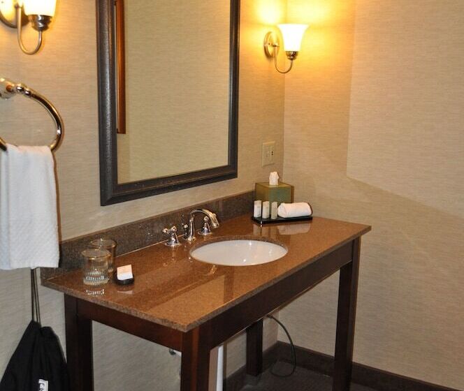 סוויטה, Embassy Suites By Hilton Phoenix Biltmore