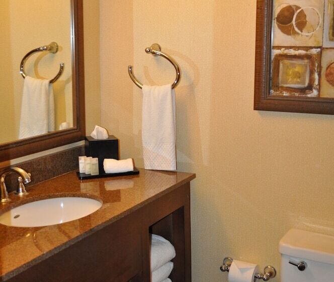 סוויטה, Embassy Suites By Hilton Phoenix Biltmore