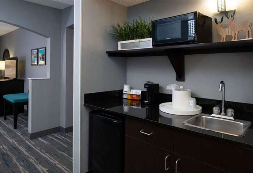 סוויטת 2 חדרי שינה, Embassy Suites By Hilton Phoenix Biltmore