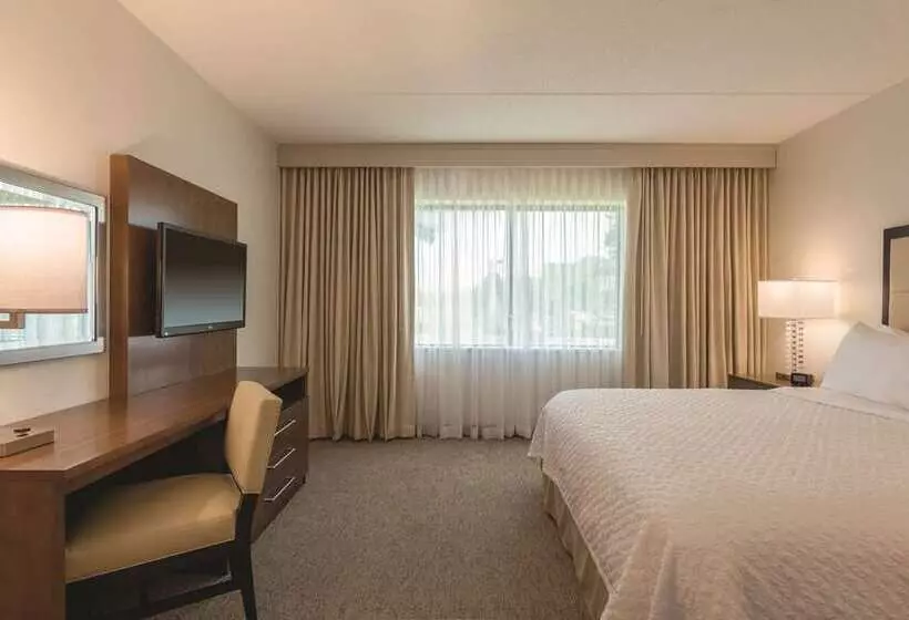 キングサイズベッドのスイートルーム, Embassy Suites By Hilton Richmond