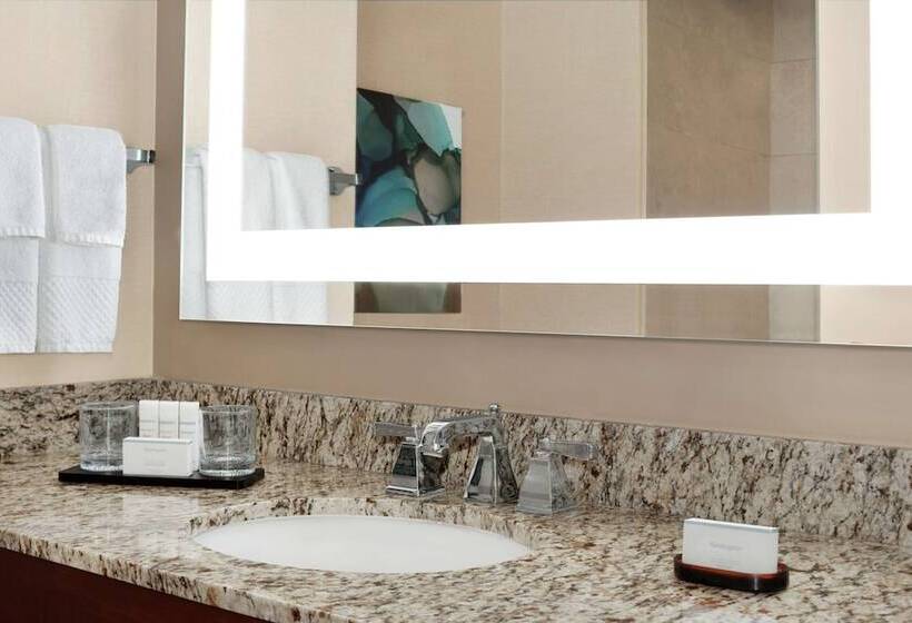 套房, Embassy Suites By Hilton Cincinnati Rivercenter