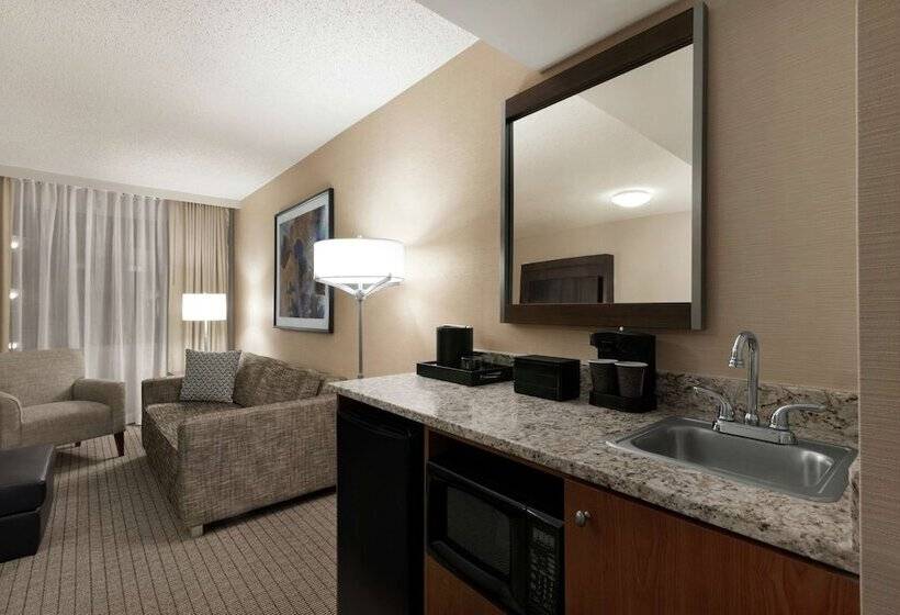 带河湖景观的套房, Embassy Suites By Hilton Cincinnati Rivercenter