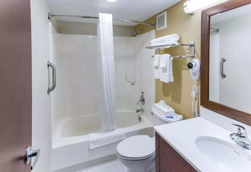 اتاق استاندارد با تخت بزرگ, Quality Inn & Suites