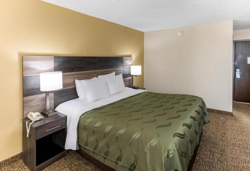 غرفة قياسية سرير كينج, Quality Inn & Suites