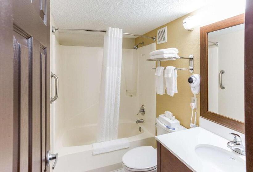 스탠다드 룸 킹사이즈 침대, Quality Inn & Suites