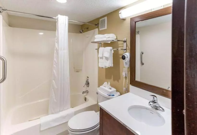 اتاق استاندارد, Quality Inn & Suites