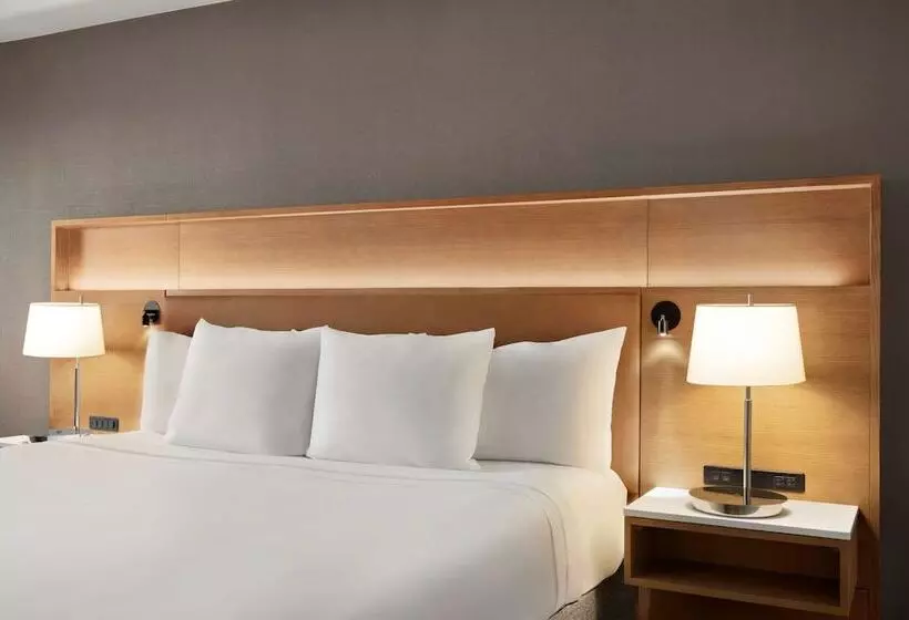 اتاق پرمیوم, Radisson Hotel Salt Lake City Downtown