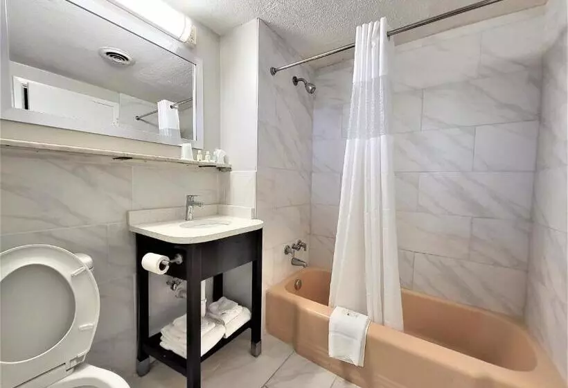 اتاق استاندارد با تخت بزرگ, Motel 6 Norfolk, Va East Little Creek