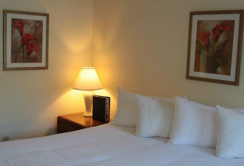 غرفة قياسية, The Driftwood Lodge