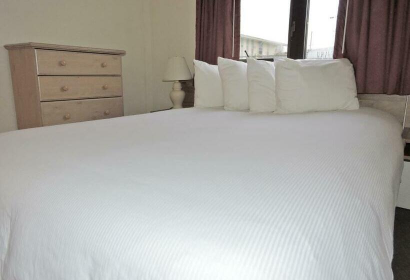 شقة غرفة واحدة, The Driftwood Lodge