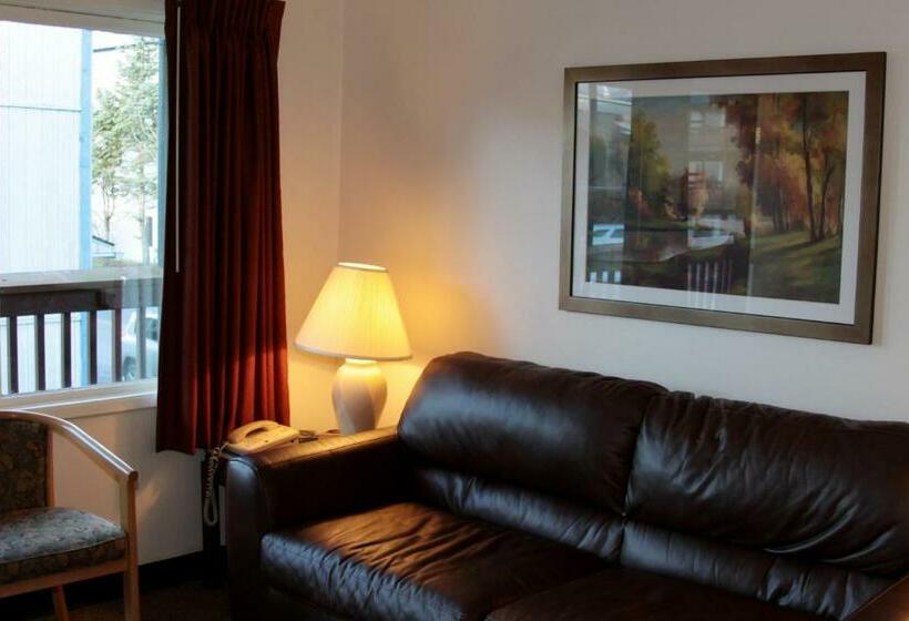 شقة غرفة واحدة, The Driftwood Lodge