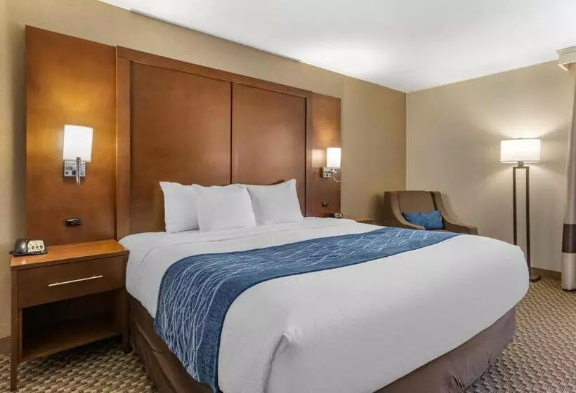 キングサイズベッドのスタンダードルーム, Comfort Inn At Buffalo Bill Village Resort