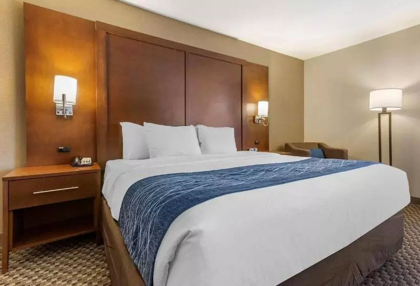 身障者適用スタンダードルーム, Comfort Inn At Buffalo Bill Village Resort