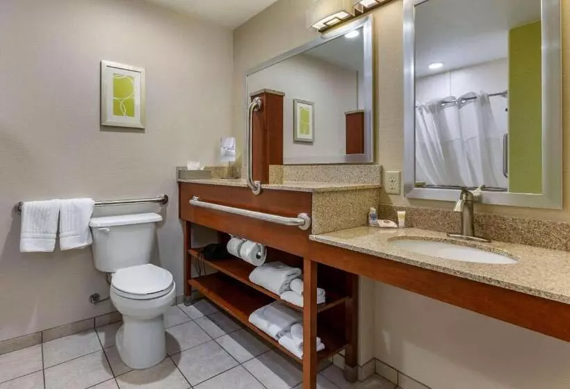 身障者適用スタンダードルーム, Comfort Inn At Buffalo Bill Village Resort