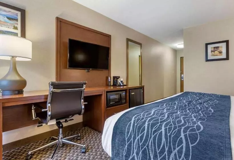 身障者適用スタンダードルーム, Comfort Inn At Buffalo Bill Village Resort