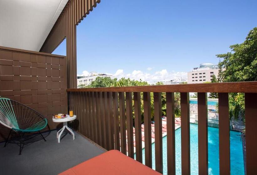 高级大房间, AxelBeach Miami South Beach - Adults Only