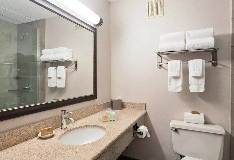 Sviitti, Best Western Plus Kingston Hotel And Conference Center