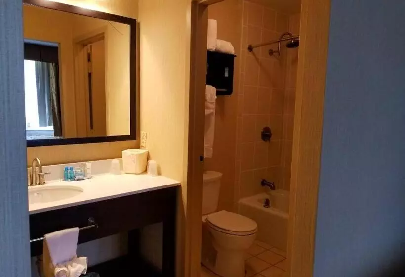 キングサイズベッドのスイートルーム, Best Western Watertown/fort Drum