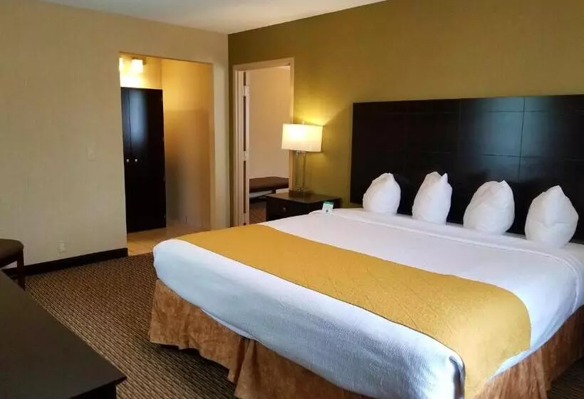 キングサイズベッドのスイートルーム, Best Western Watertown/fort Drum