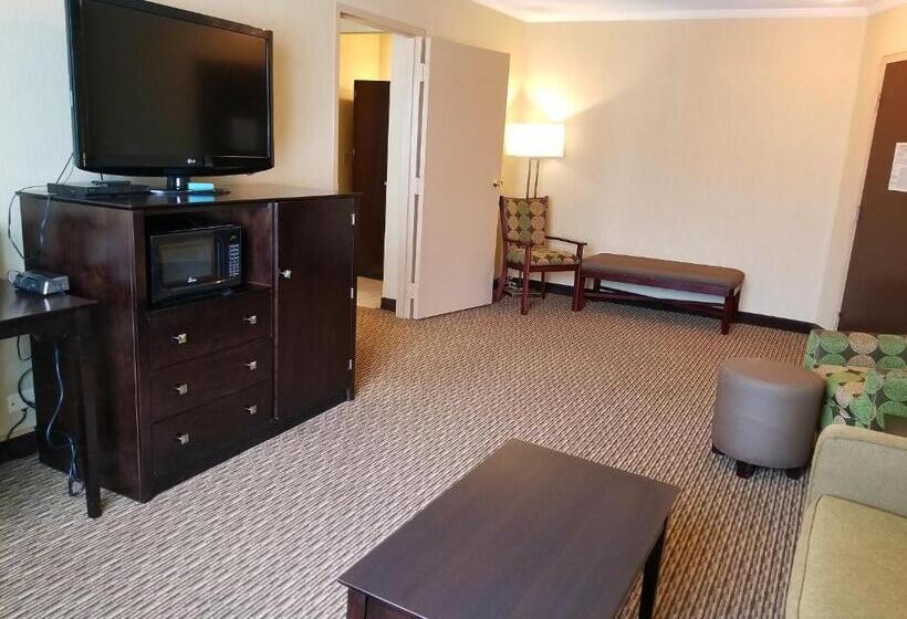 جناح سرير كينج, Best Western Watertown/fort Drum