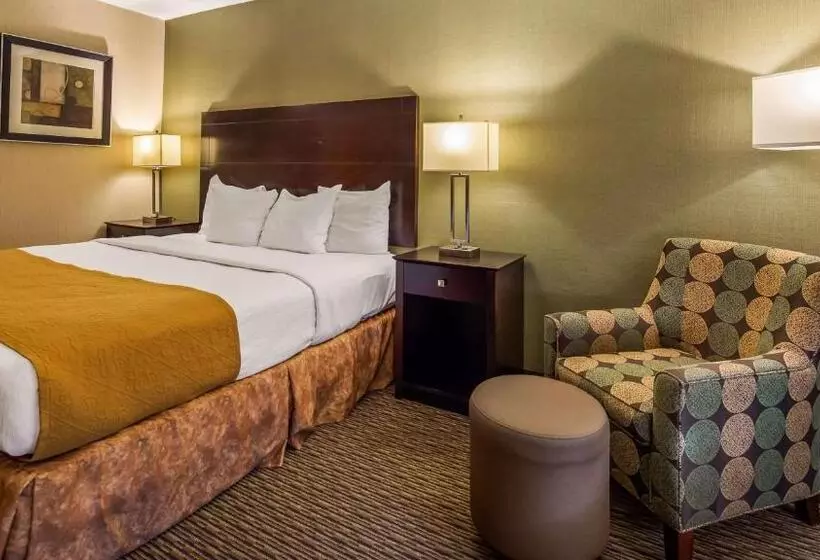 スタンダードルーム, Best Western Watertown/fort Drum