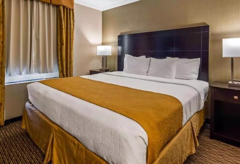 クイーンサイズベッドのスタンダードルーム, Best Western Watertown/fort Drum