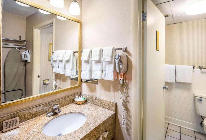 غرفة قياسية سرير كينج, Clarion Inn Grand Junction