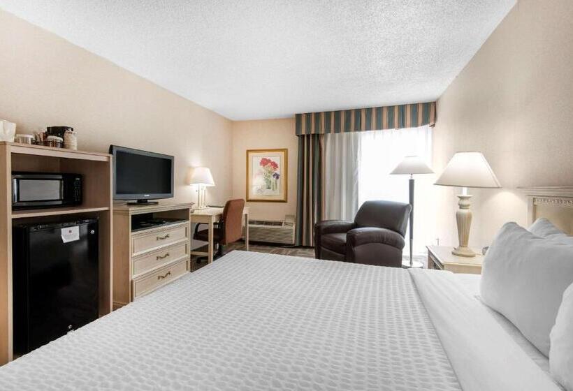 غرفة قياسية سرير كينج, Clarion Inn Grand Junction