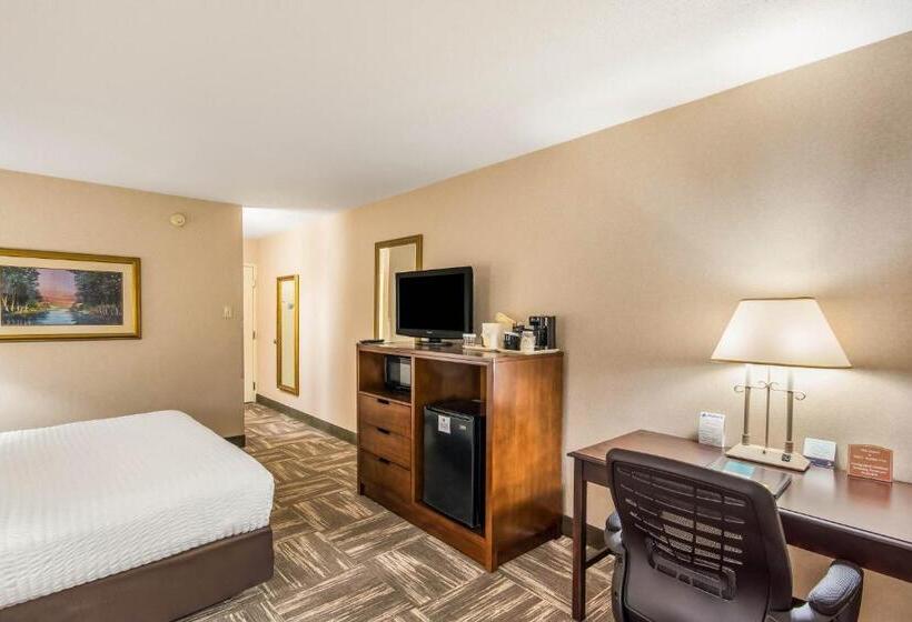 스탠다드 룸 킹사이즈 침대, Clarion Inn Grand Junction