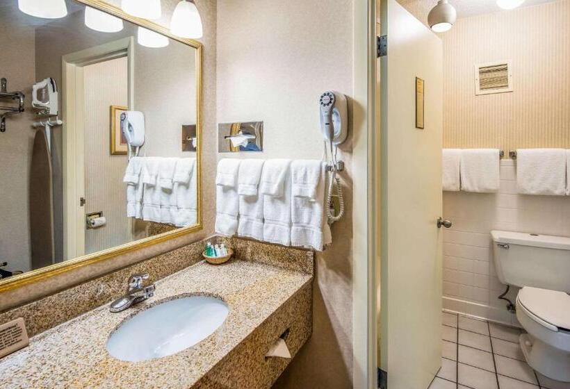 스탠다드 룸 킹사이즈 침대, Clarion Inn Grand Junction