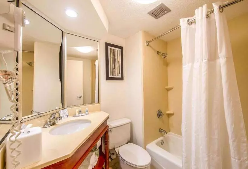 اتاق استاندارد با تخت بزرگ, Comfort Inn Greenville Haywood Mall