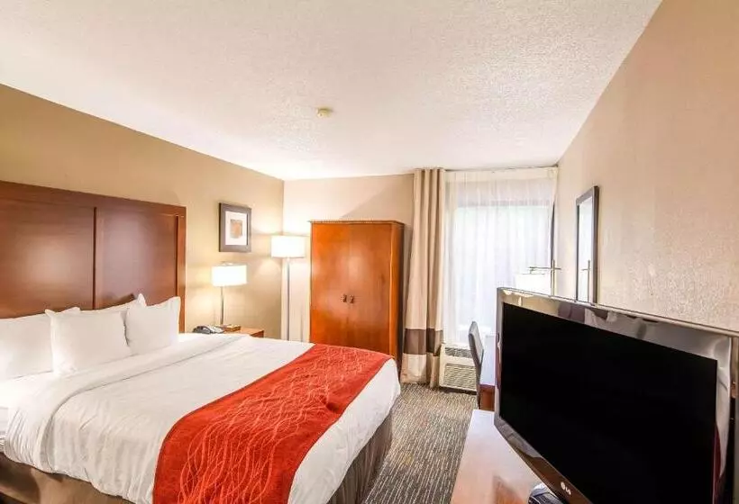 اتاق استاندارد با تخت بزرگ, Comfort Inn Greenville Haywood Mall