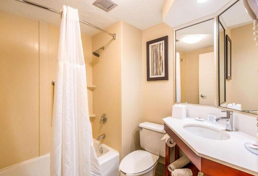 스탠다드 룸, Comfort Inn Greenville Haywood Mall