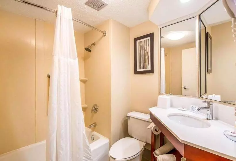 اتاق استاندارد, Comfort Inn Greenville Haywood Mall