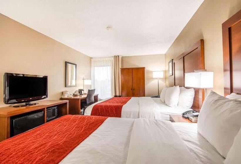 스탠다드 룸, Comfort Inn Greenville Haywood Mall