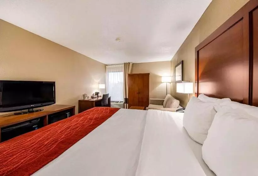 اتاق سوپریور, Comfort Inn Greenville Haywood Mall