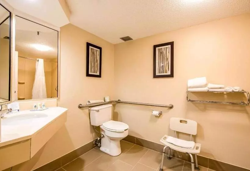 اتاق استاندارد برای معلولان, Comfort Inn Greenville Haywood Mall
