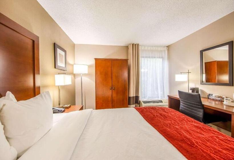 장애인을 위한 스탠다드 룸, Comfort Inn Greenville Haywood Mall