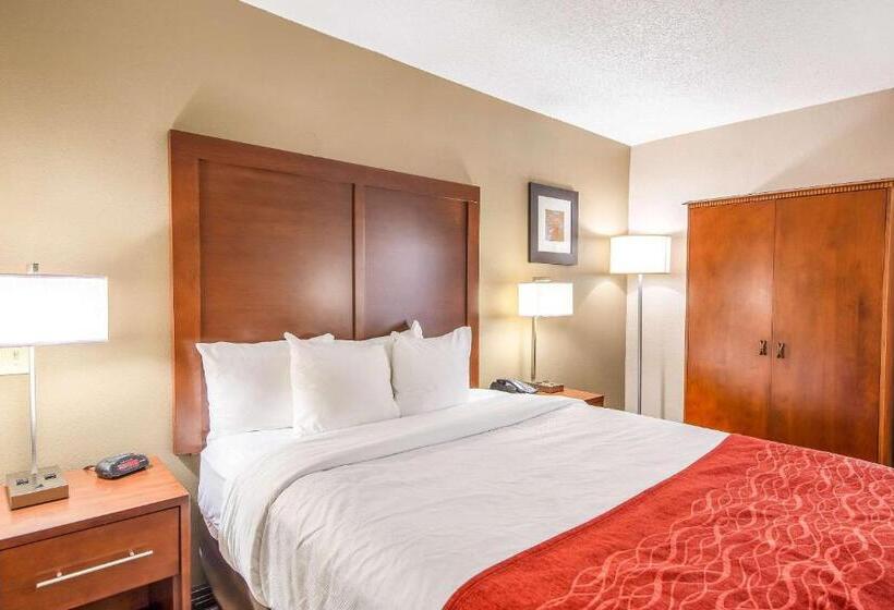 장애인을 위한 스탠다드 룸, Comfort Inn Greenville Haywood Mall