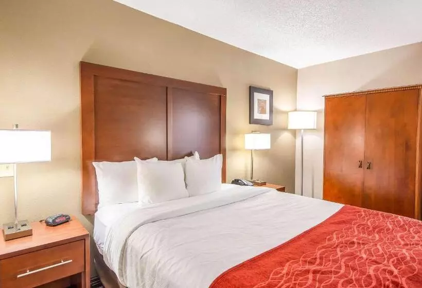 اتاق استاندارد برای معلولان, Comfort Inn Greenville Haywood Mall