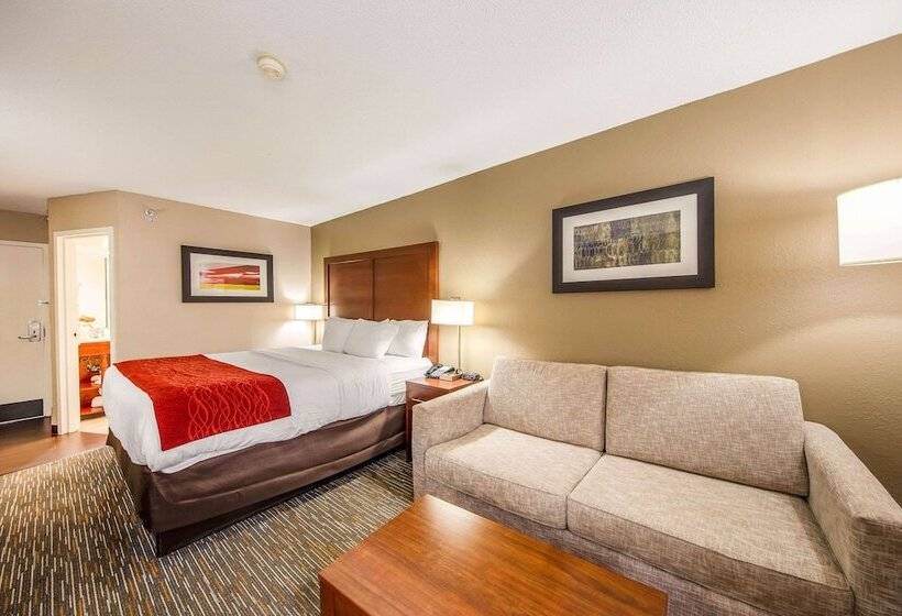 스탠다드 룸 킹사이즈 침대, Comfort Inn Greenville Haywood Mall
