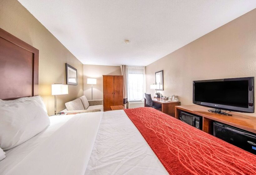 스탠다드 룸 킹사이즈 침대, Comfort Inn Greenville  Haywood Mall