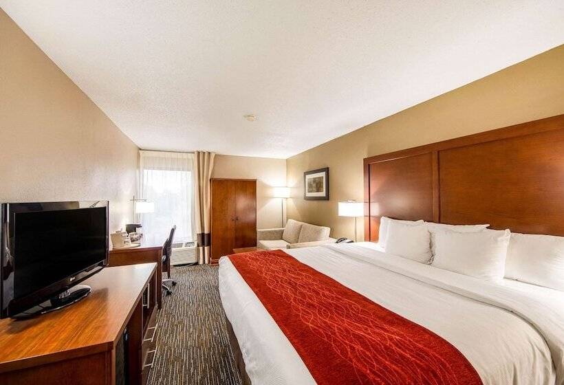 스탠다드 룸 킹사이즈 침대, Comfort Inn Greenville Haywood Mall