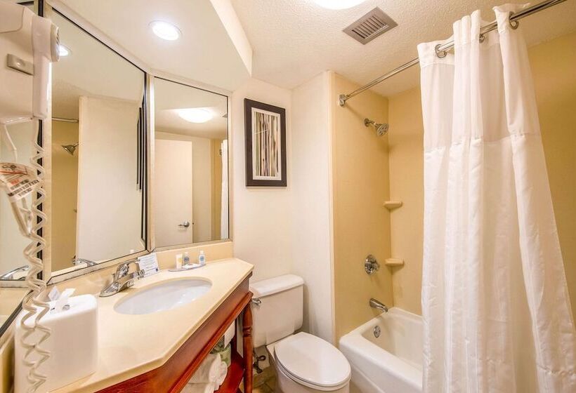 스탠다드 룸 킹사이즈 침대, Comfort Inn Greenville  Haywood Mall
